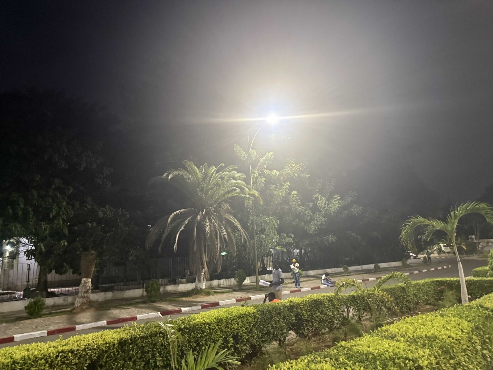 University students reading books under high-brightness King LED street lights