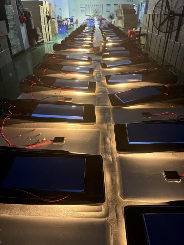 Skilled technicians assembling SUNPRO solar street lights on the LEYOND factory production line