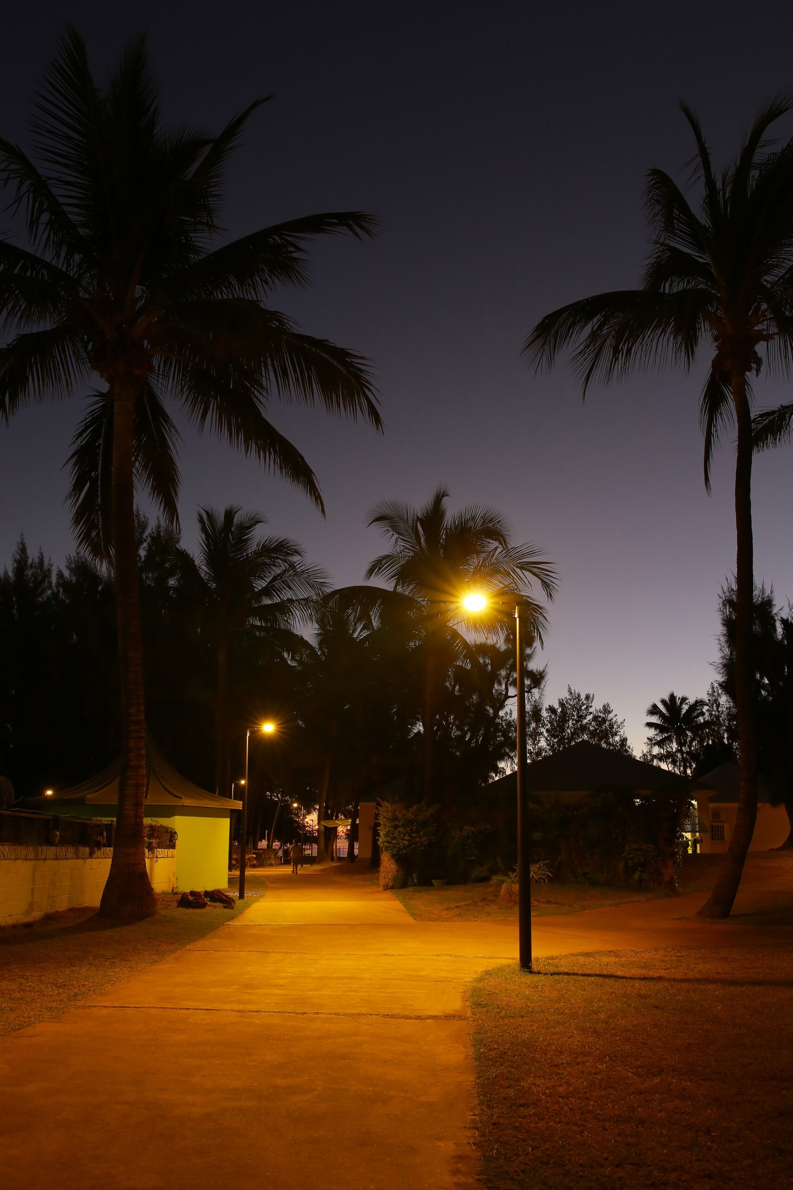 Solar garden lights guiding the way to the reception area safely